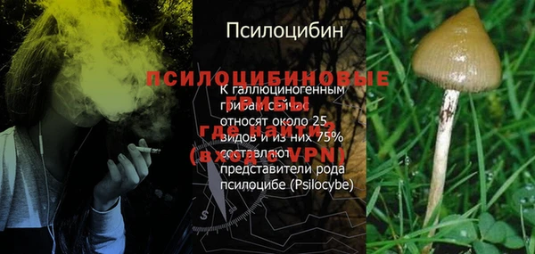 СК Бронницы